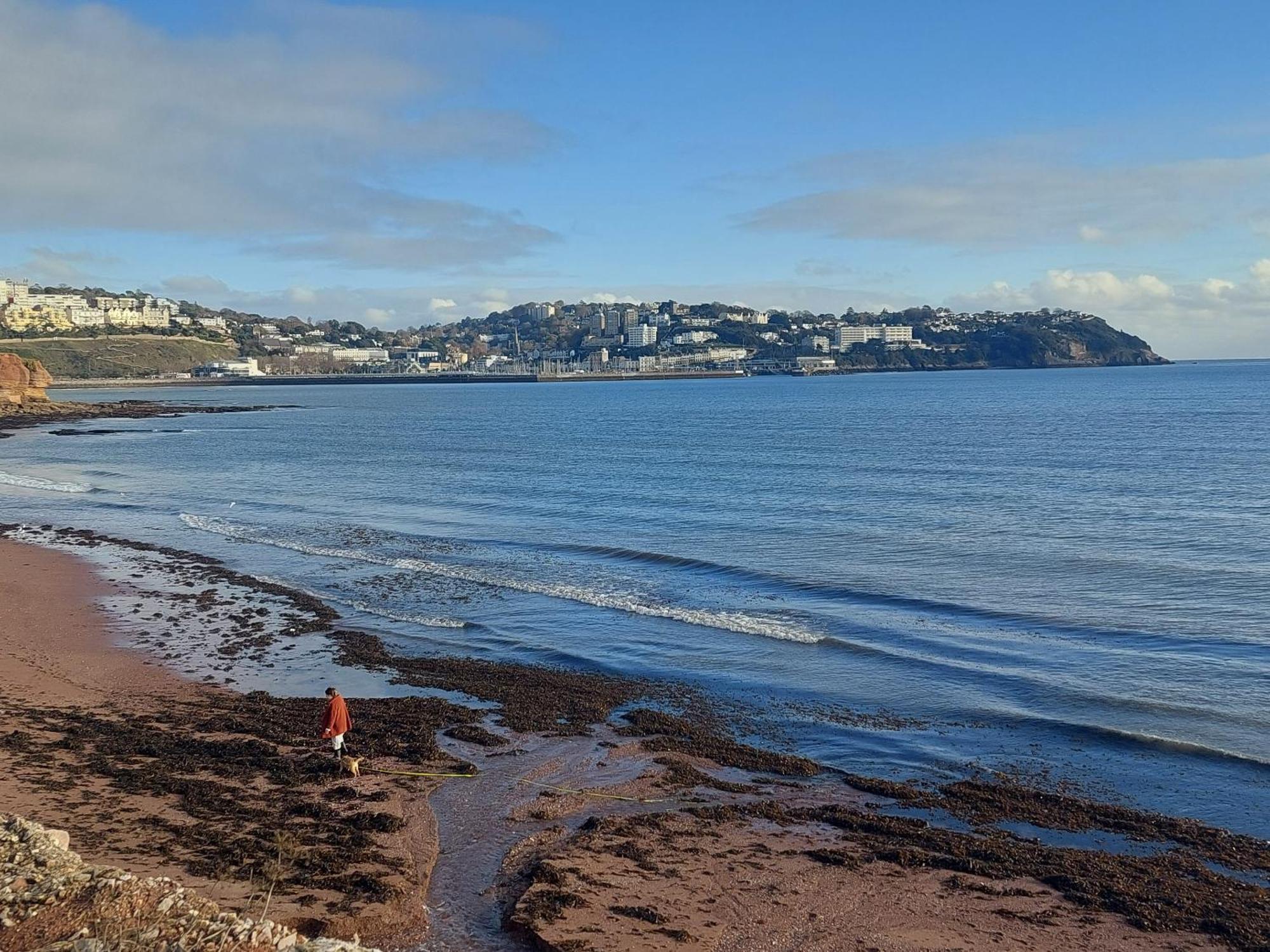 The Seaview Suites At The Corbyn Apartments Torquay Room photo